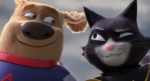 Foto de StarDog & TurboCat