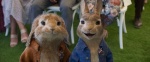 Foto de Peter Rabbit 2: A la fuga