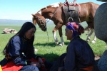 Foto de Los dos caballos de Genghis Khan 