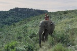 Foto de Viaje mágico a África