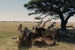 Foto de Viaje mágico a África