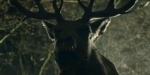 Foto de Bambi: The Reckoning