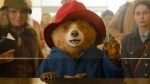 Foto de Paddington: Aventura en la selva