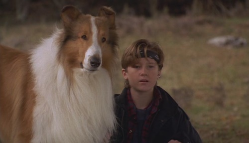 El Regreso De Lassie 1994 El Séptimo Arte Tu Web De Cine 